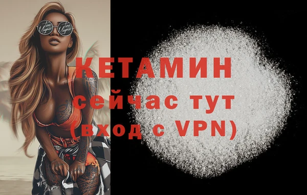 твердый Лиски