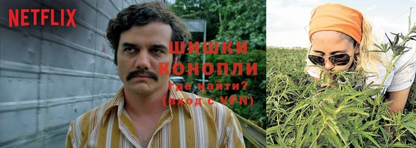 сатива Лихославль