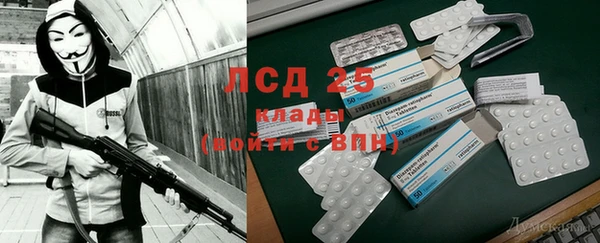 сатива Лихославль