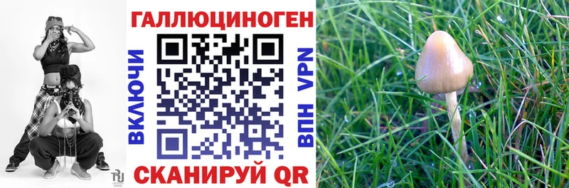 гидра ONION  Темрюк  Псилоцибиновые грибы мухоморы 