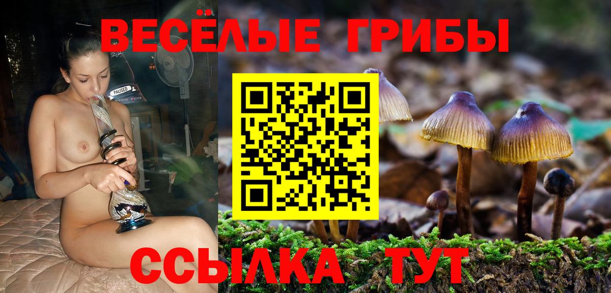 Галлюциногенные грибы Psilocybine cubensis Темрюк